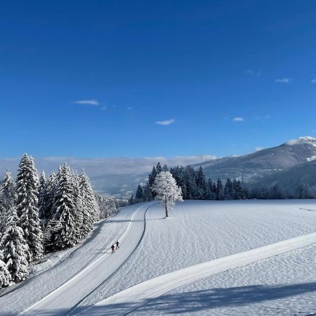 Aparthotel Burglehnerhof Ramsau am Dachstein Zewnętrze zdjęcie