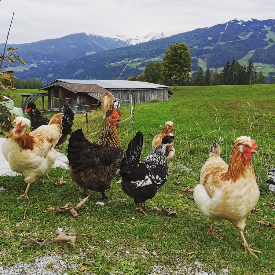 Aparthotel Burglehnerhof Ramsau am Dachstein Zewnętrze zdjęcie