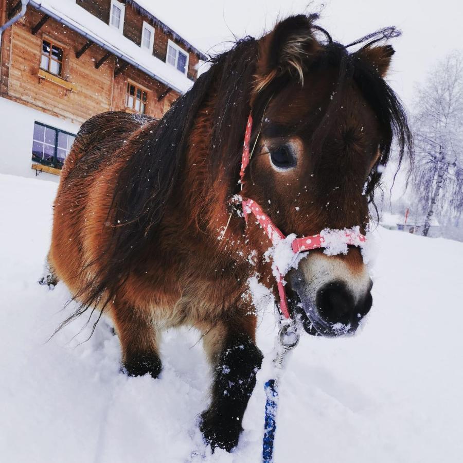 Aparthotel Burglehnerhof Ramsau am Dachstein Zewnętrze zdjęcie