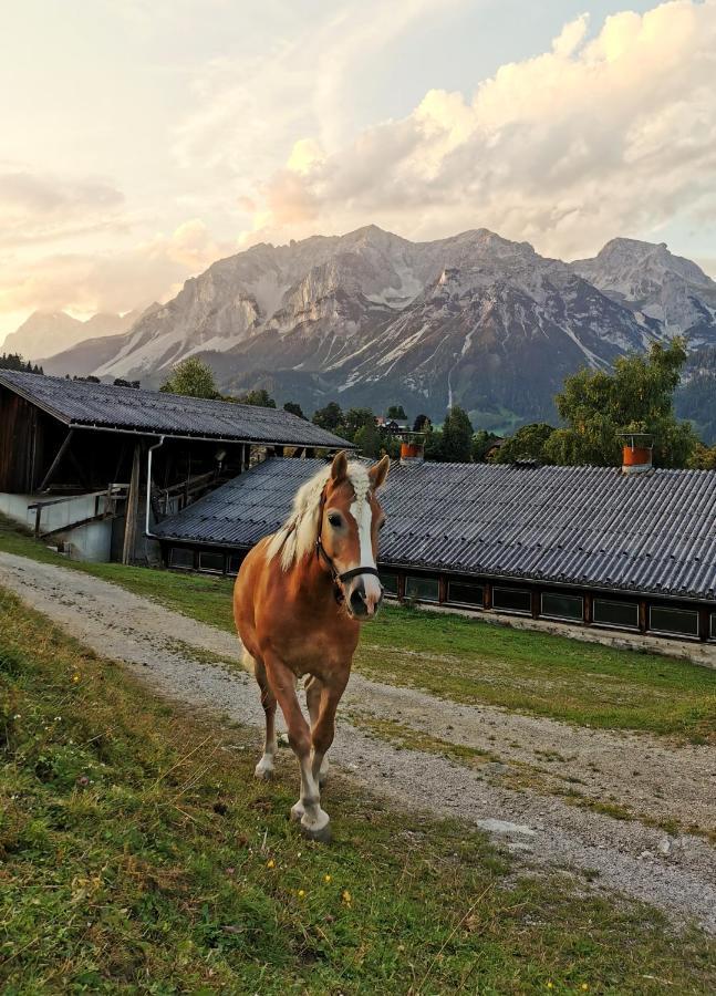 Aparthotel Burglehnerhof Ramsau am Dachstein Zewnętrze zdjęcie