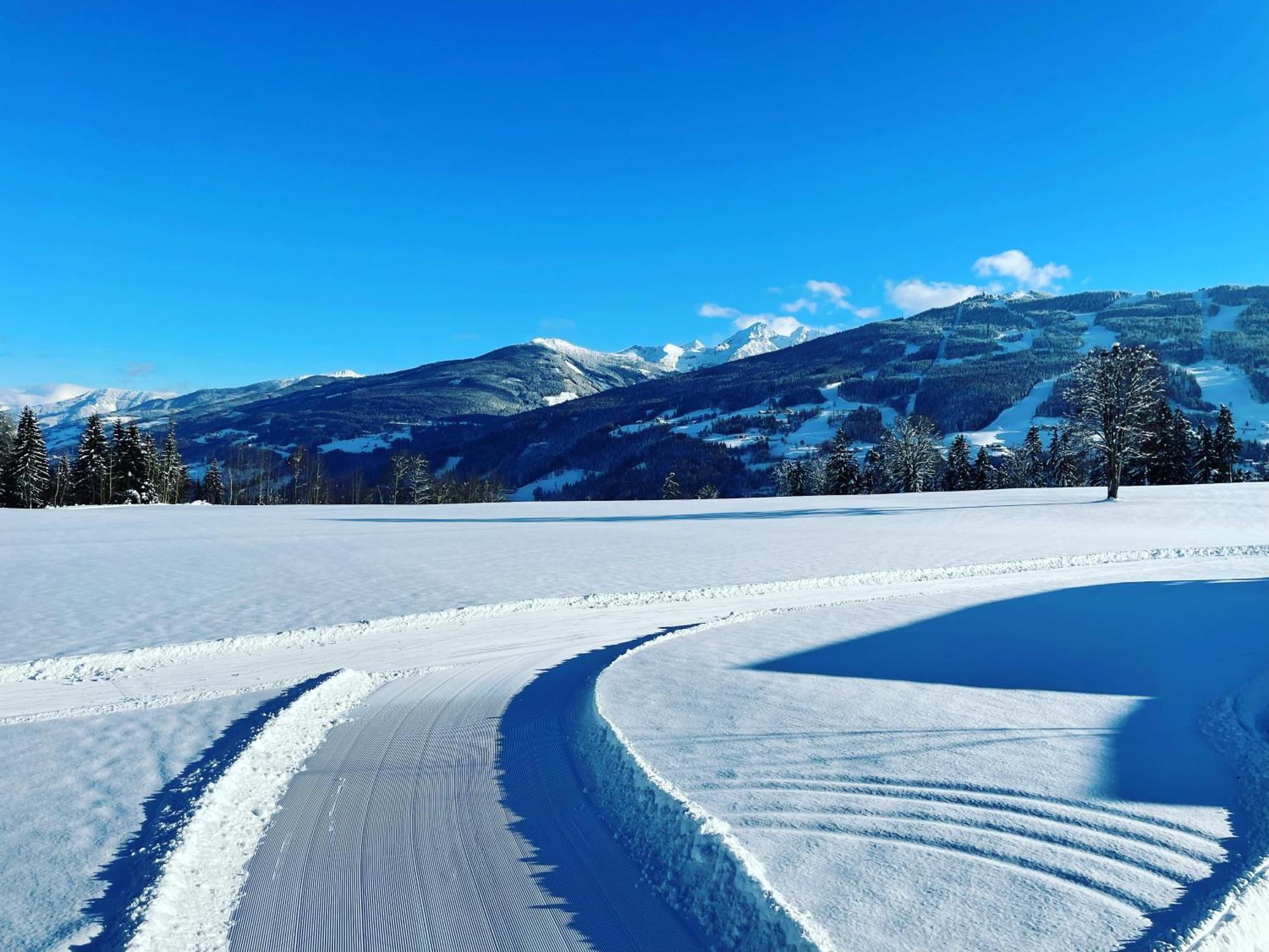 Aparthotel Burglehnerhof Ramsau am Dachstein Zewnętrze zdjęcie