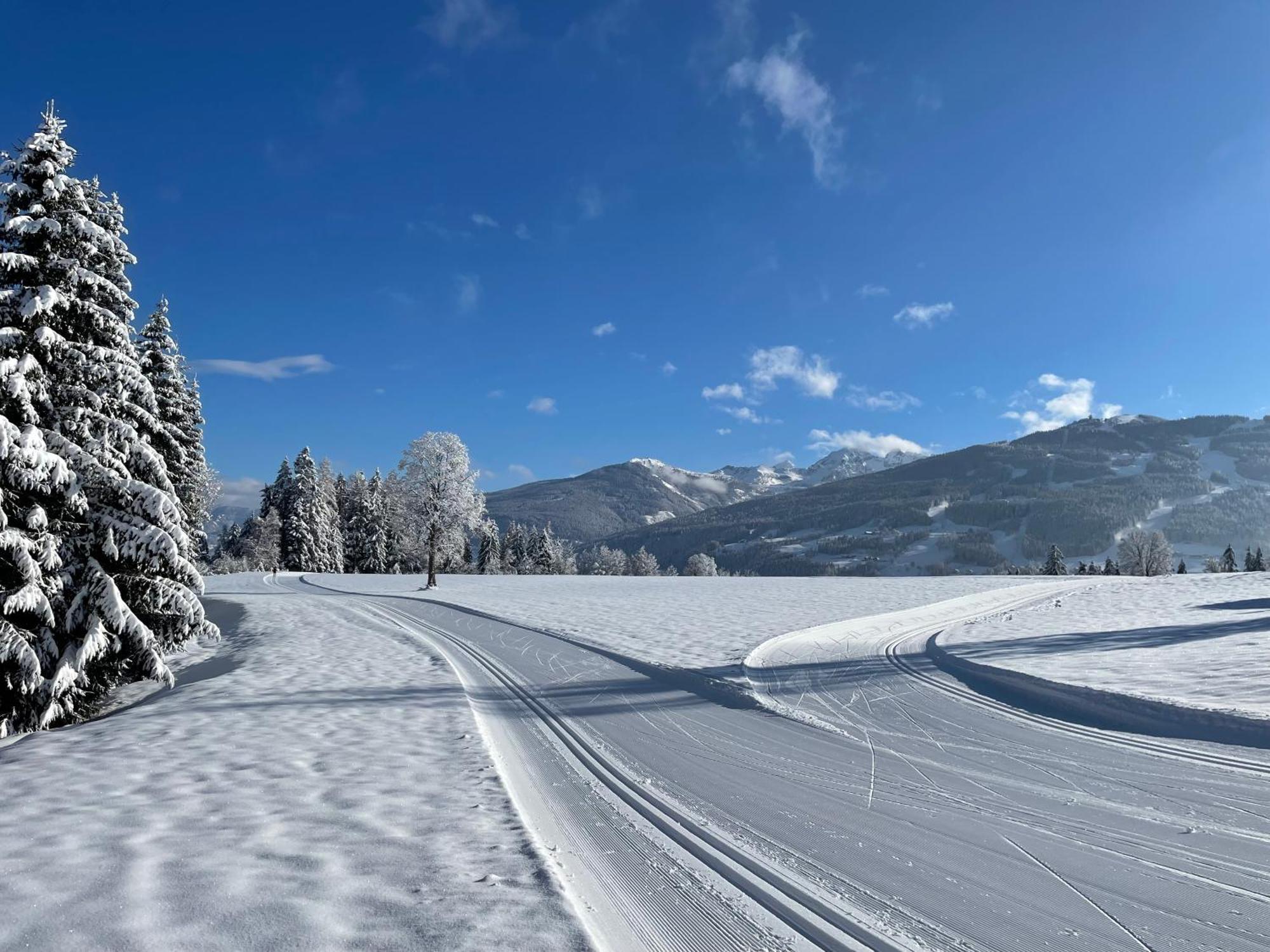 Aparthotel Burglehnerhof Ramsau am Dachstein Zewnętrze zdjęcie